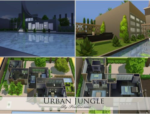 Urban Jungle