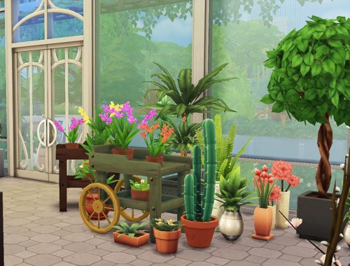 The Magnolia Flower Shop (No CC)