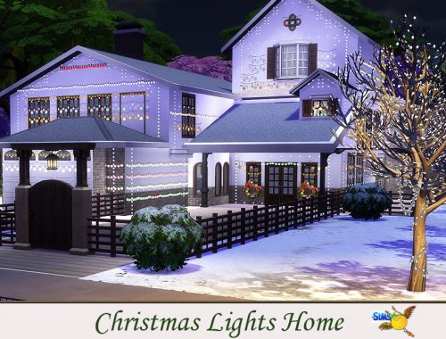 evi Christmas Lights Home