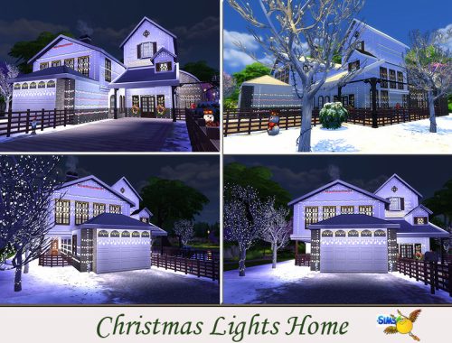 evi Christmas Lights Home