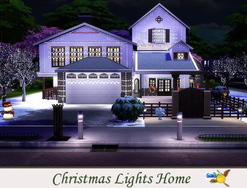 evi Christmas Lights Home