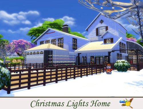 evi Christmas Lights Home