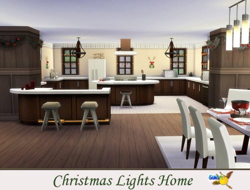 evi Christmas Lights Home