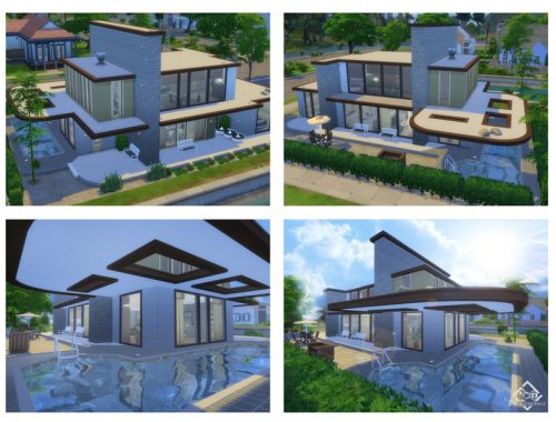 Modern Brown Dream