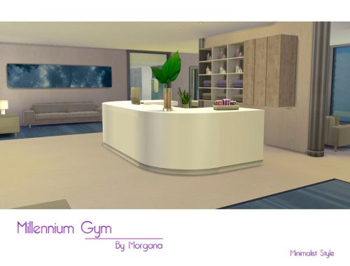 Millennium Gym