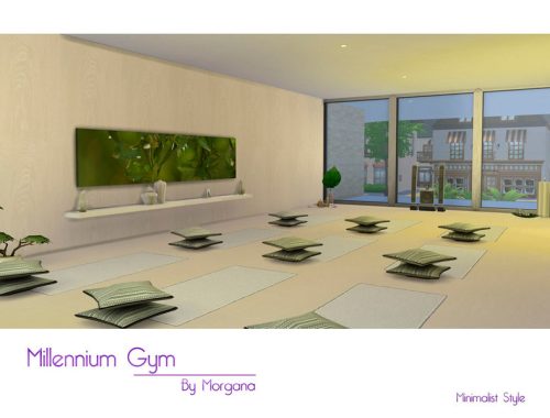 Millennium Gym