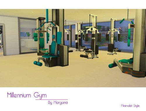 Millennium Gym