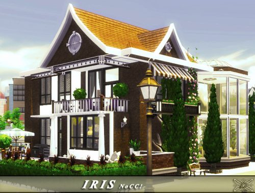 IRIS