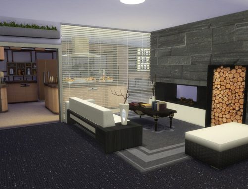 Modern Terrace