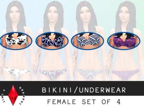 Set of 4 Female Bikinis/Underwear