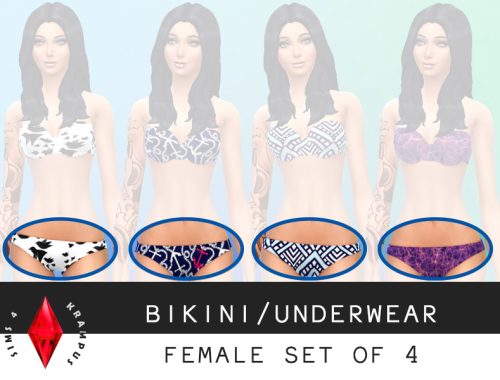 Set of 4 Female Bikinis/Underwear