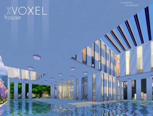 Voxel House