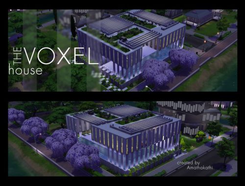 Voxel House