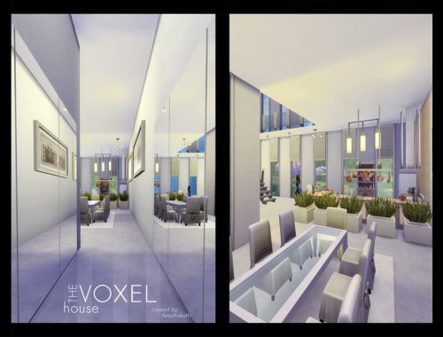 Voxel House