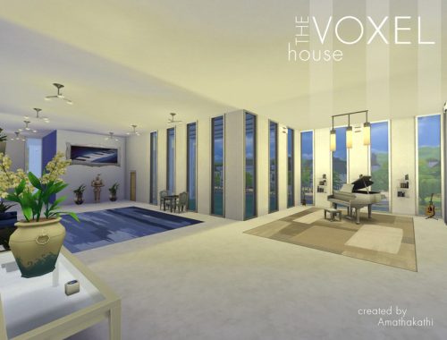 Voxel House
