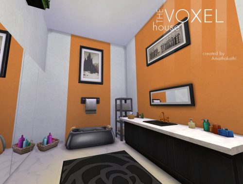 Voxel House