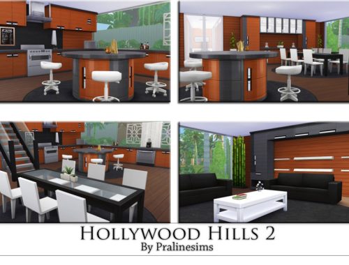 Hollywood Hills 2
