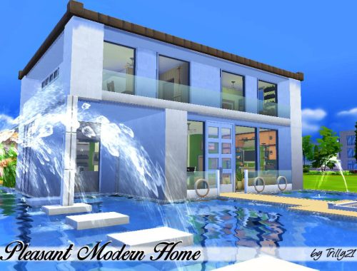 Pleasant Modern Home