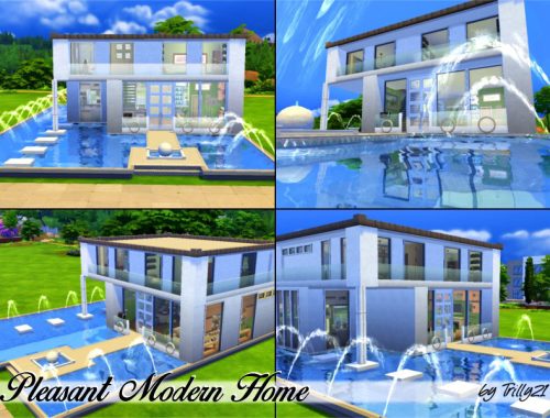 Pleasant Modern Home