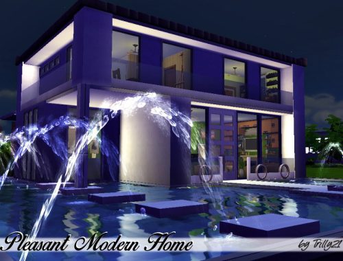 Pleasant Modern Home