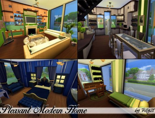 Pleasant Modern Home