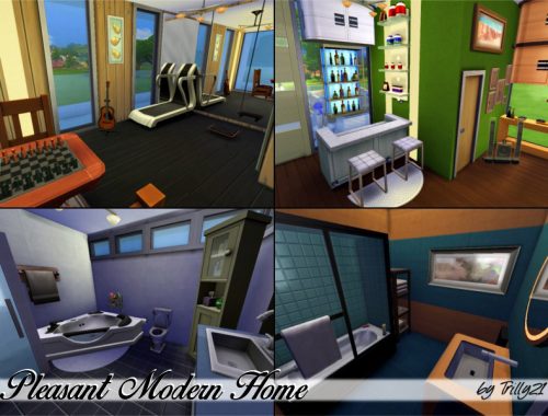 Pleasant Modern Home