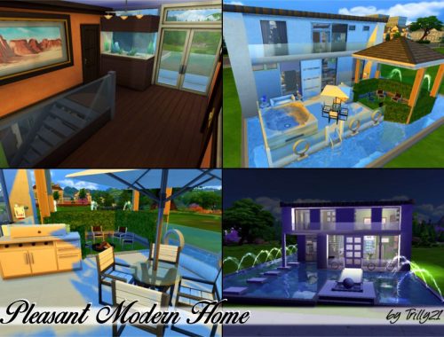 Pleasant Modern Home