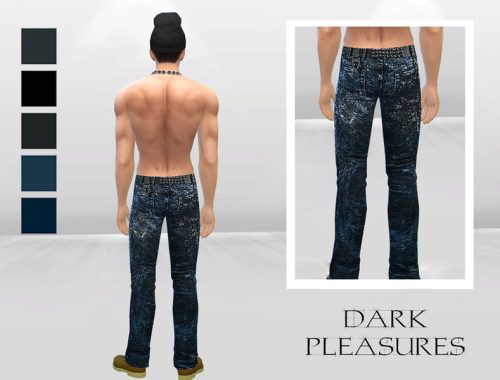 Rude Rocker Denim Jeans
