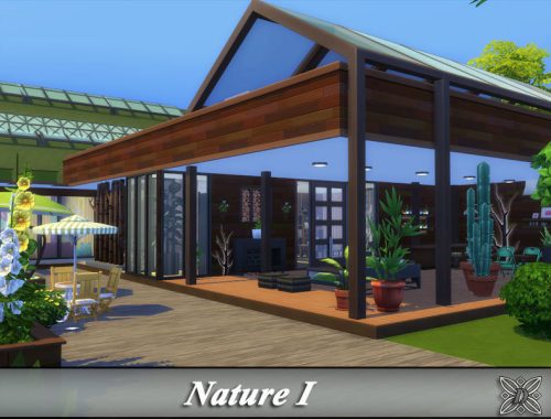 Nature I