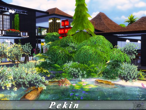 Pekin