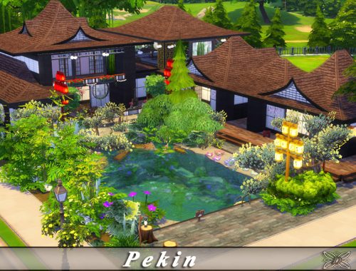 Pekin