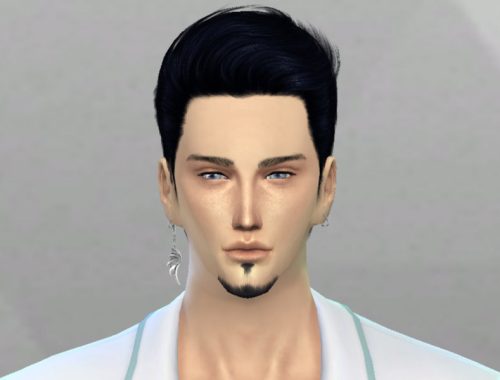 Jim Rains Sim