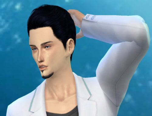 Jim Rains Sim