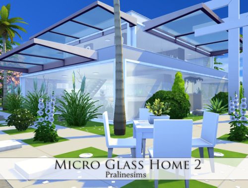 Micro Glass Home 2