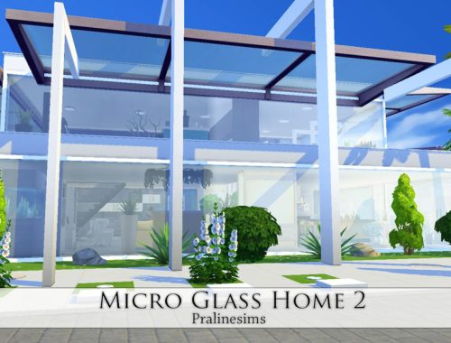 Micro Glass Home 2