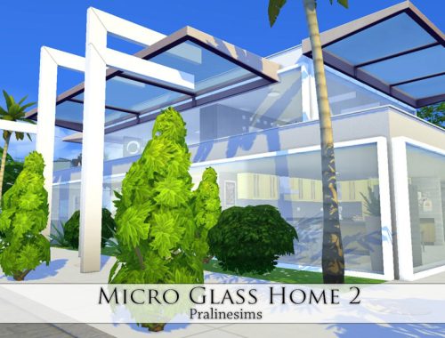 Micro Glass Home 2