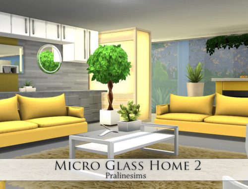 Micro Glass Home 2
