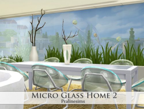 Micro Glass Home 2