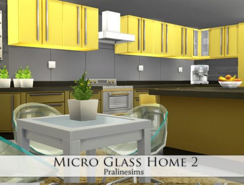Micro Glass Home 2