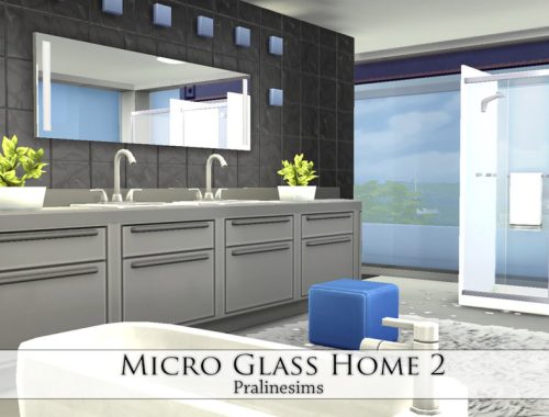 Micro Glass Home 2