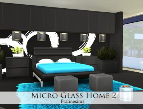 Micro Glass Home 2