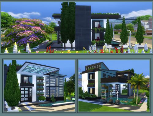Green and Blue no CC