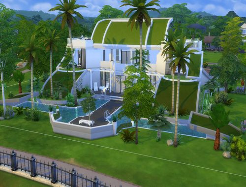 Grass Roof