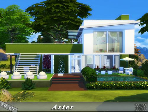 Aster