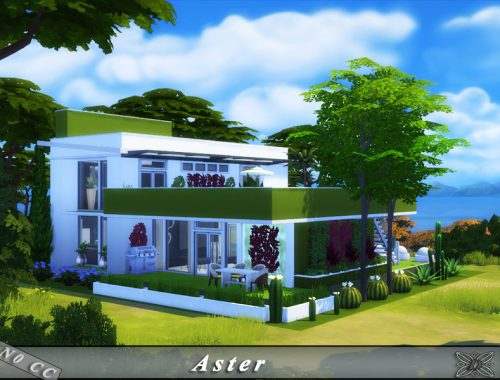Aster