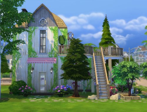 All Goodies Store