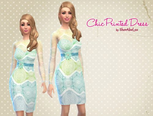Glam Sheer Sleeve Dress