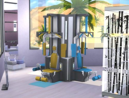 Exclusive Gym Griffin