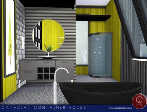 Canadian Container House