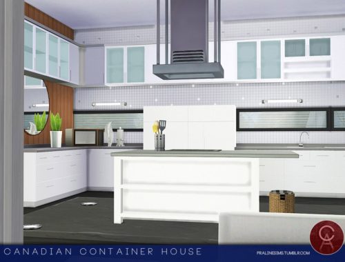 Canadian Container House